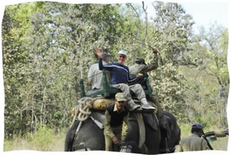On an Elephant safari in kanha National park